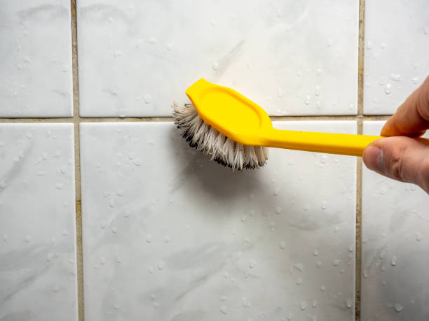 Best Kitchen Mold Remediation in Woodville, CA