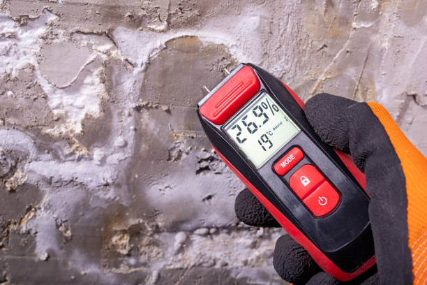 Best Emergency Mold Remediation in Woodville, CA