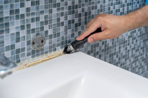 Best Mold Testing and Inspection Services in Woodville, CA